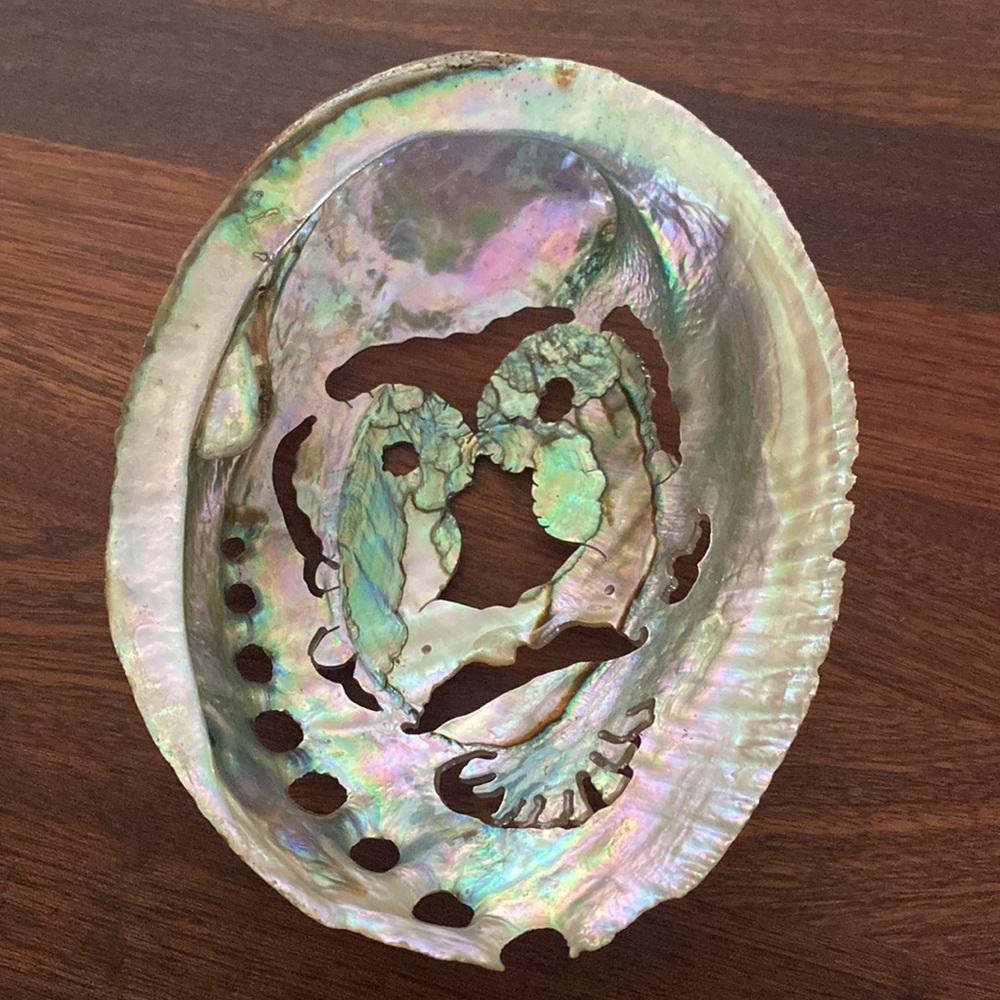Abalone Shell π¦β€οΈπ¦ - Picture 7 of 10